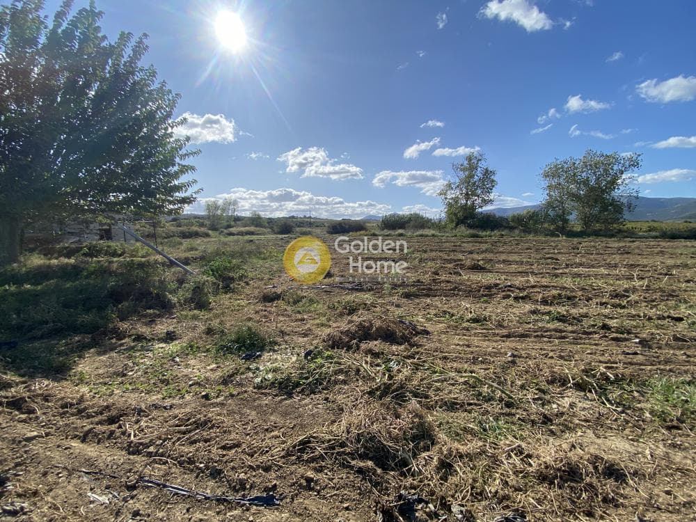 Parcel in Krieza, Distos — Photo 14 of 26