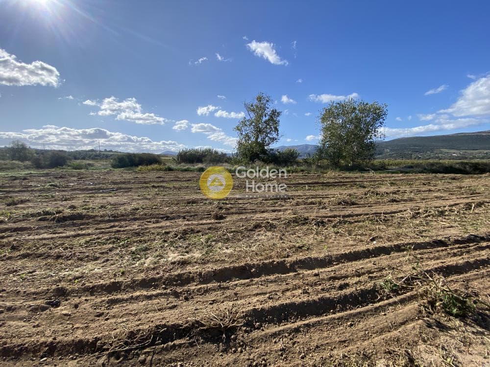 Parcel in Krieza, Distos — Photo 21 of 26