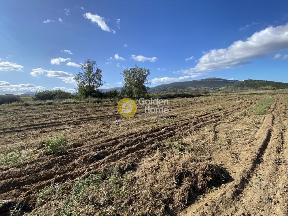 Parcel in Krieza, Distos — Photo 22 of 26