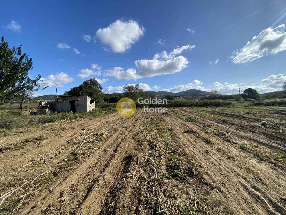 Parcel in Krieza, Distos — Photo 26 of 26