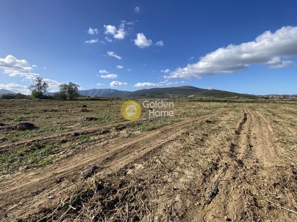 Parcel in Krieza, Distos — Photo 1 of 12