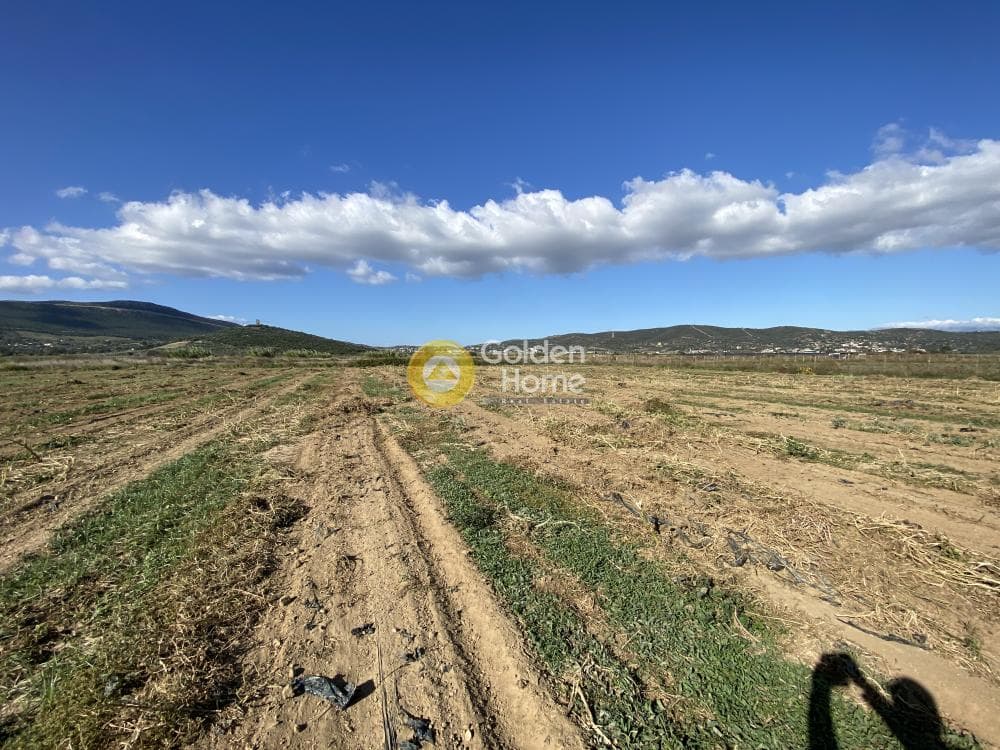 Parcel in Krieza, Distos — Photo 3 of 12