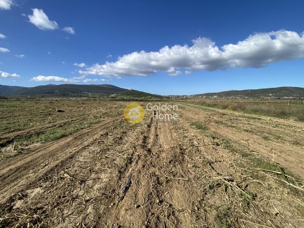 Parcel in Krieza, Distos — Photo 5 of 12
