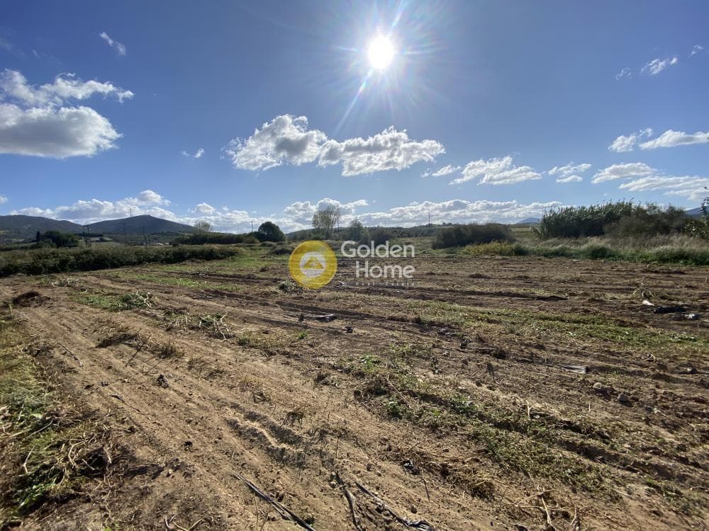 Parcel in Krieza, Distos — Photo 8 of 12