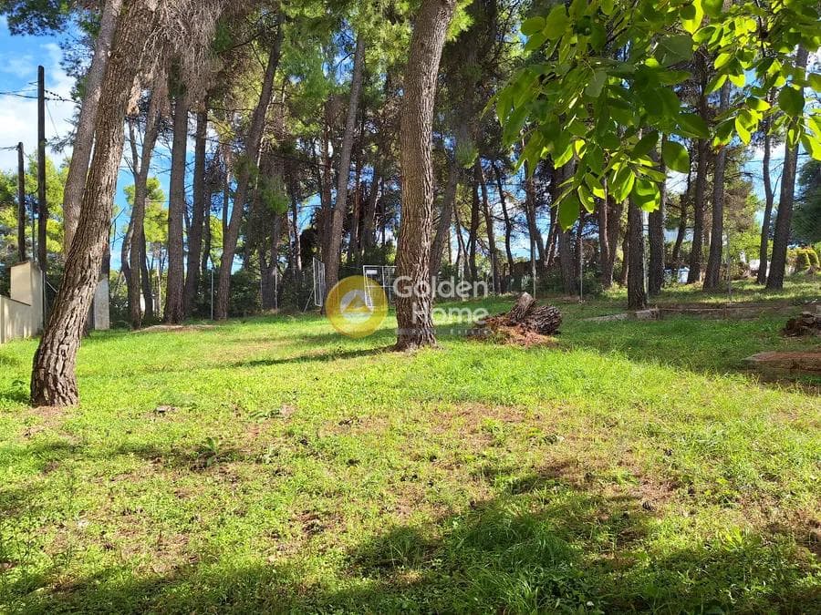 Building Plot in Prokonnisos, Stamata — Photo 5 of 5