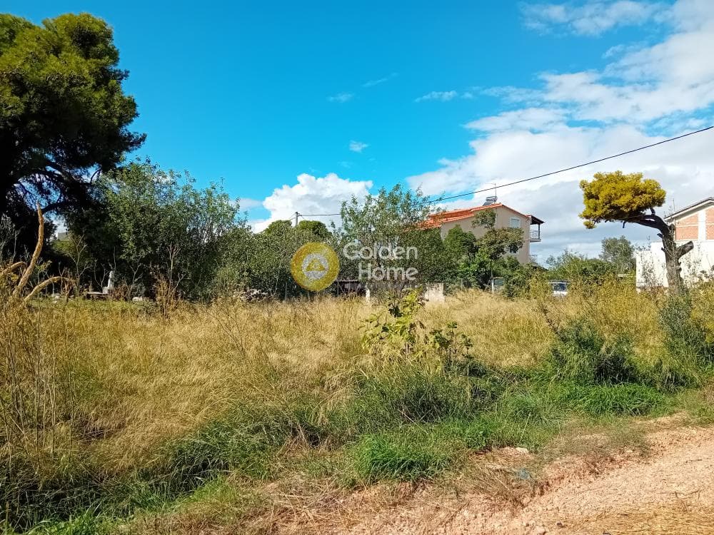 Building Plot in Ano Mpalana, Pallini — Photo 5 of 8