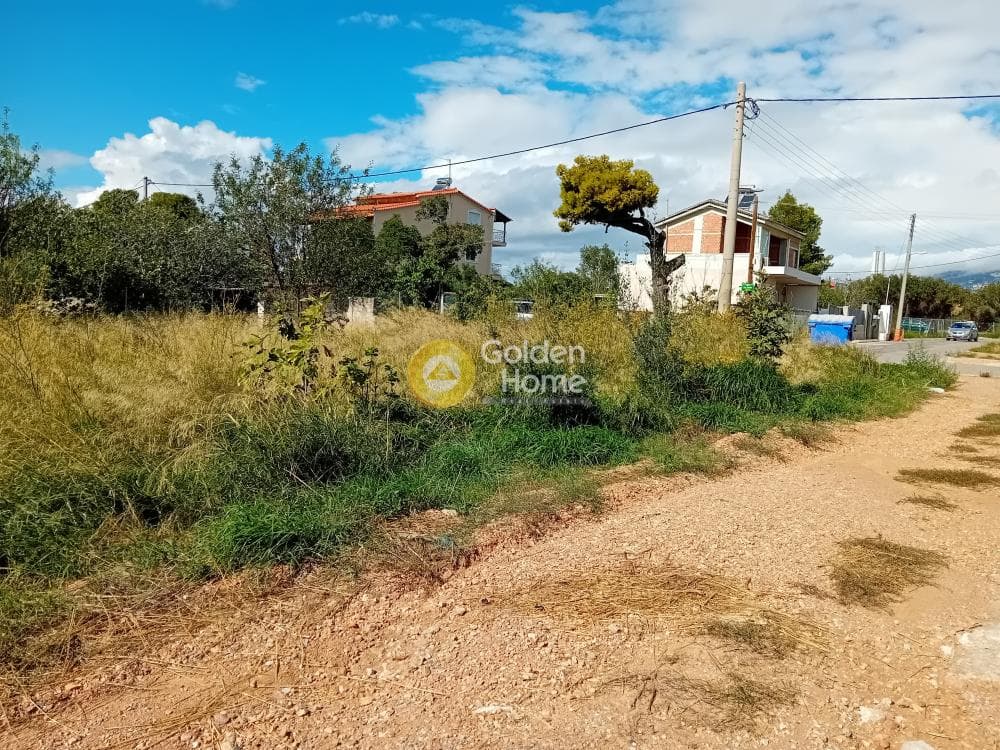 Building Plot in Ano Mpalana, Pallini — Photo 1 of 8