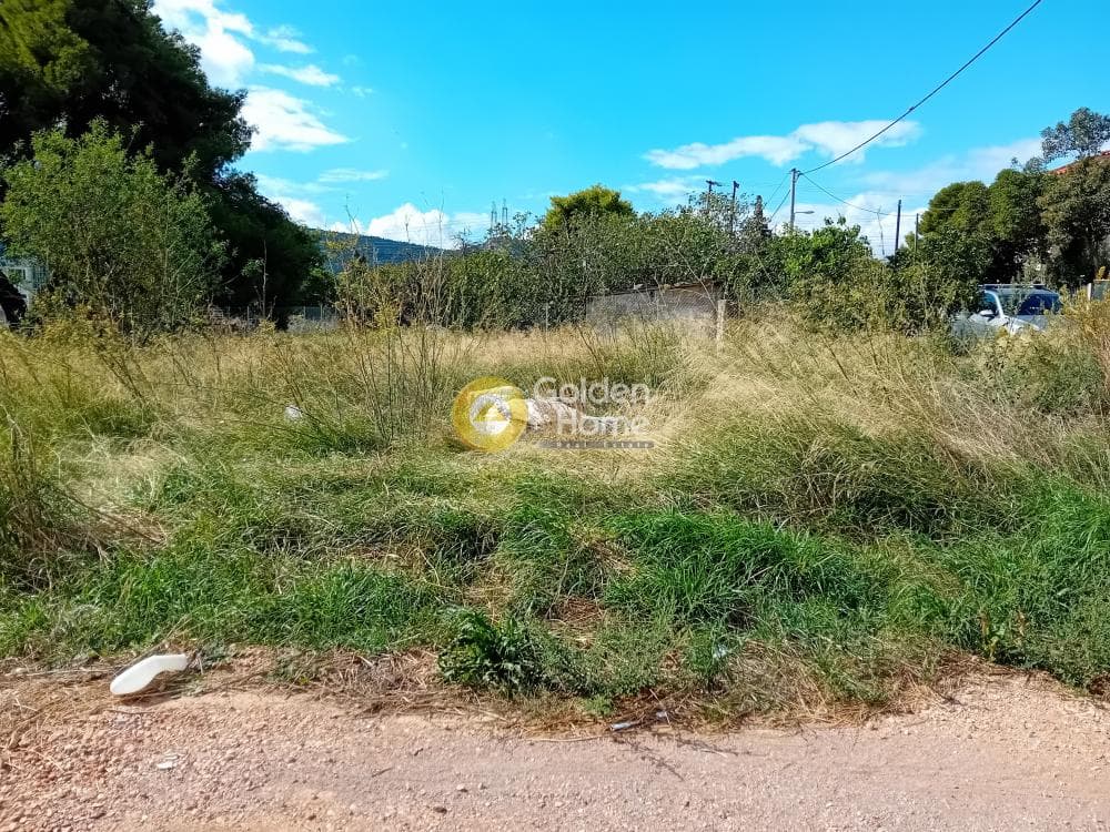 Building Plot in Ano Mpalana, Pallini — Photo 8 of 8