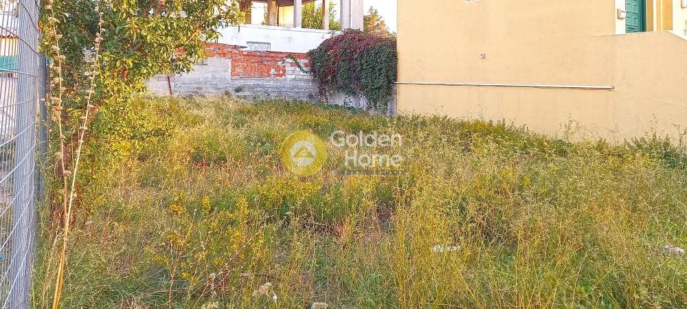 Οικόπεδο στην Γαργηττός, Γέρακας — Φωτογραφία 2 από 3
