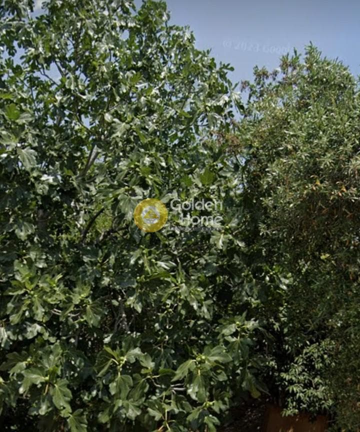 Building Plot in Dasos, Chaidari