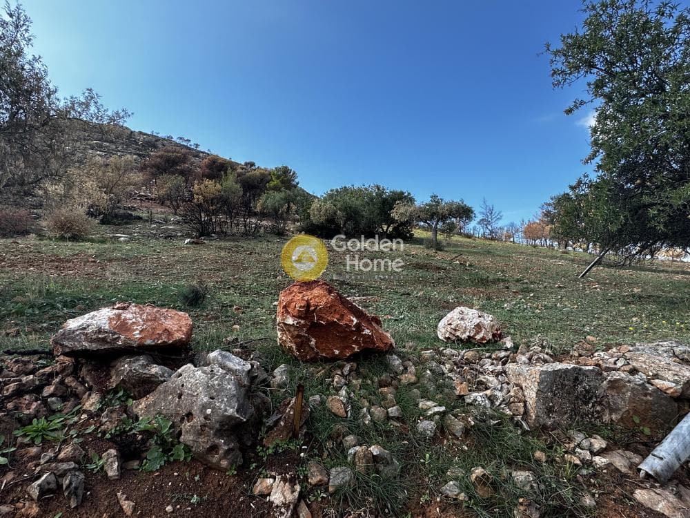 Αγροτεμάχιο στην Κέντρο, Καλύβια Θορικού — Φωτογραφία 3 από 3