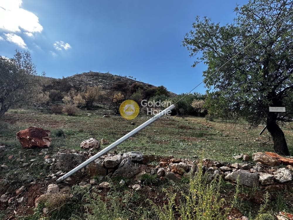 Αγροτεμάχιο στην Κέντρο, Καλύβια Θορικού — Φωτογραφία 2 από 3