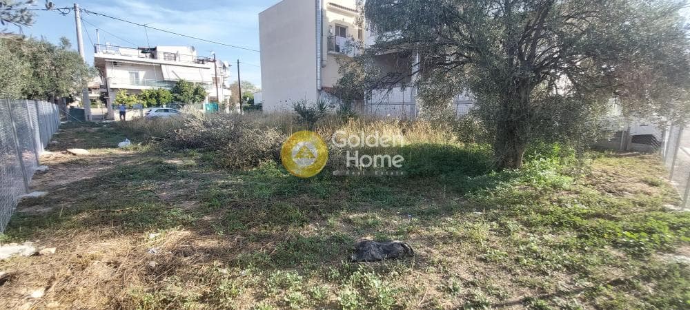 Οικόπεδο στην Μεγάλα Σχοινία Α, Αχαρνές — Φωτογραφία 10 από 13