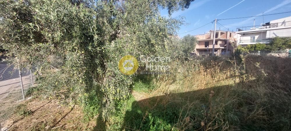 Οικόπεδο στην Μεγάλα Σχοινία Α, Αχαρνές — Φωτογραφία 13 από 13
