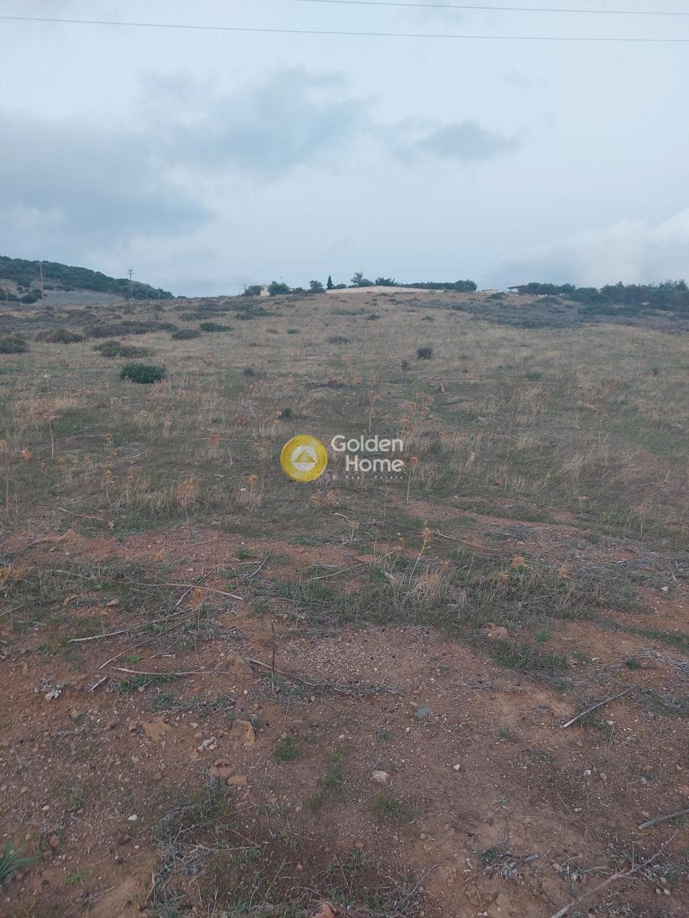 Αγροτεμάχιο στην Πεύκα, Κερατέα — Φωτογραφία 3 από 6