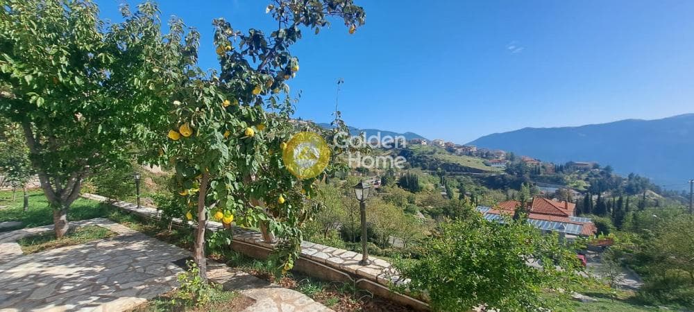 Διαμέρισμα στην Αράχοβα, Αράχωβα — Φωτογραφία 4 από 20
