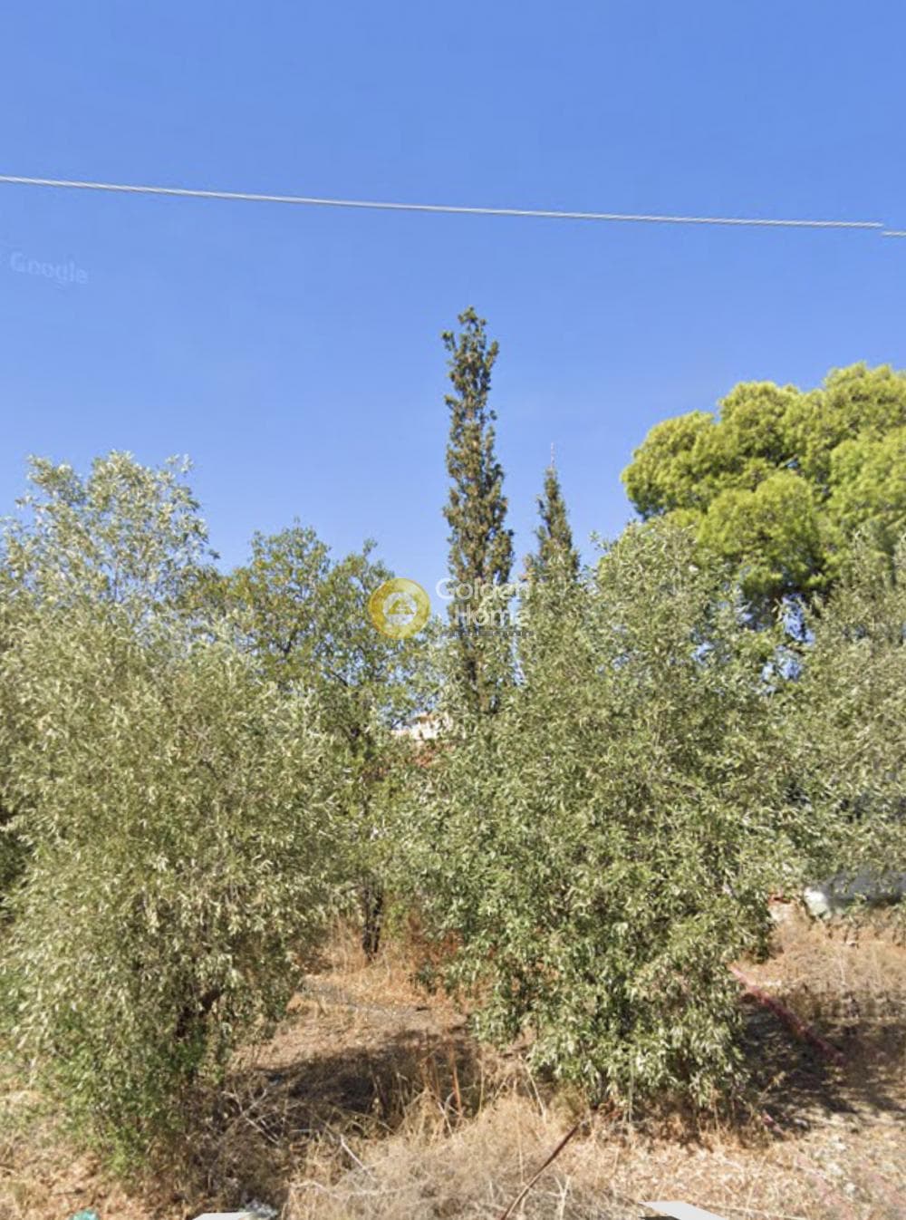 Building Plot in Selinia, Salamina