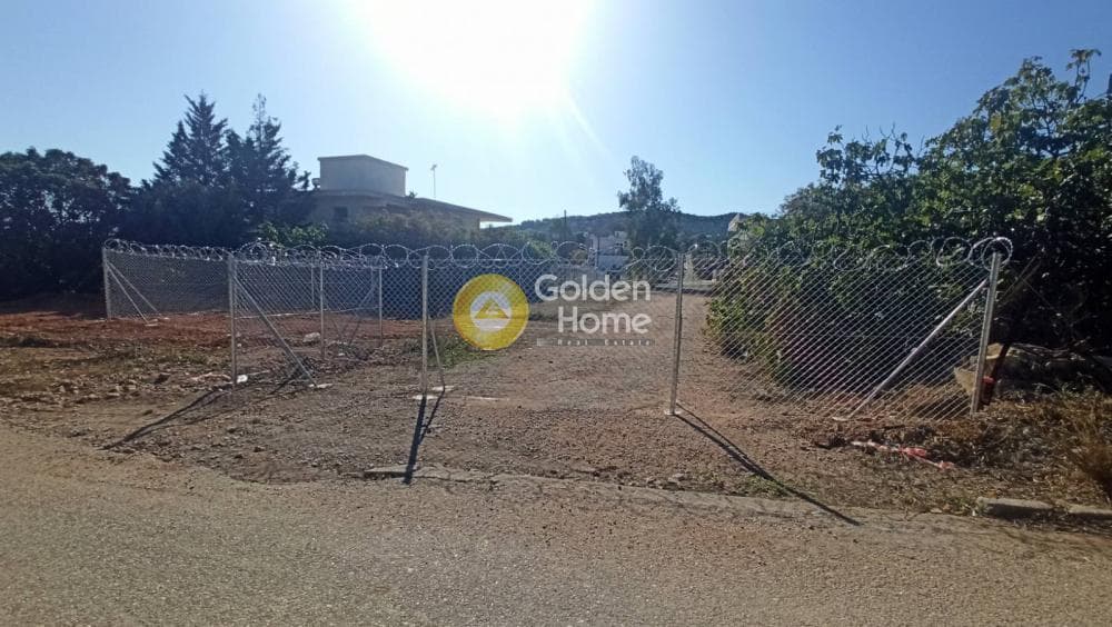 Building Plot in Selinia, Salamina — Photo 4 of 4