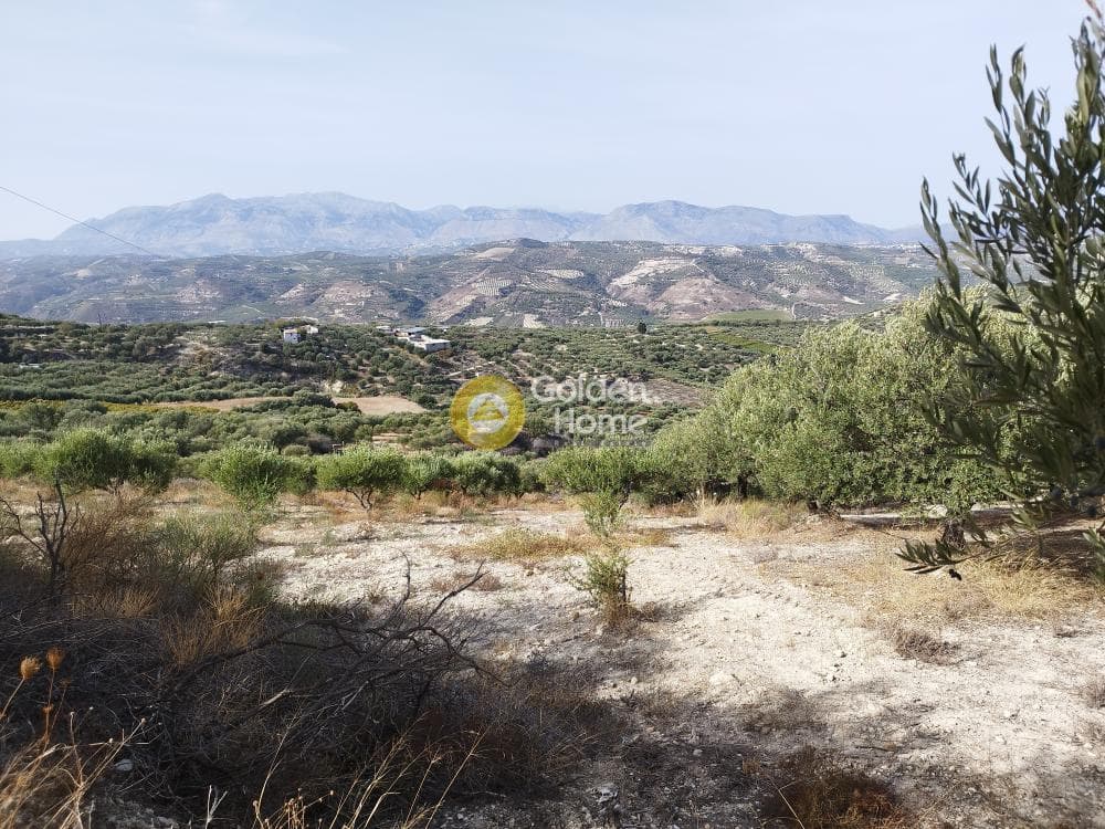 Αγροτεμάχιο στην Άγιος Σύλλας, Αρχάνες — Φωτογραφία 1 από 3