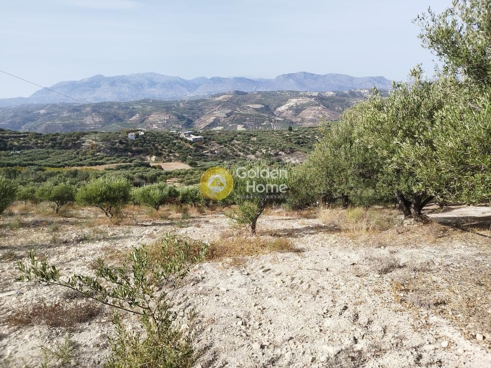 Αγροτεμάχιο στην Άγιος Σύλλας, Αρχάνες — Φωτογραφία 3 από 3