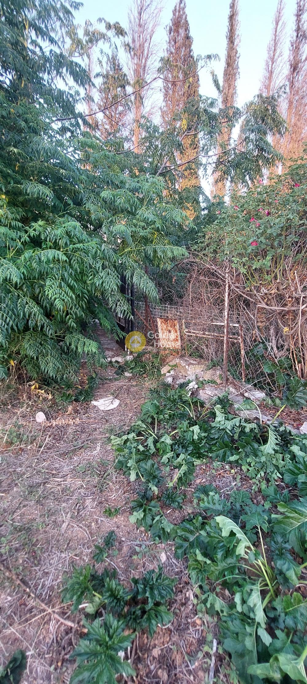 Οικόπεδο στην Ανάβρυτα, Μαρούσι — Φωτογραφία 8 από 33