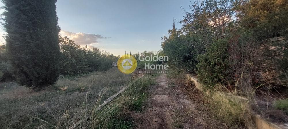 Οικόπεδο στην Ανάβρυτα, Μαρούσι — Φωτογραφία 7 από 33