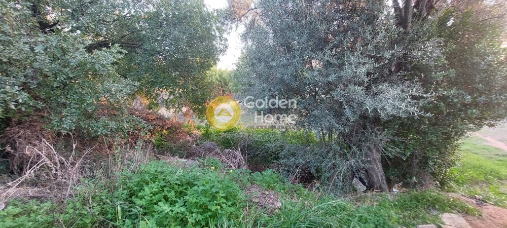 Οικόπεδο στην Ανάβρυτα, Μαρούσι — Φωτογραφία 20 από 33