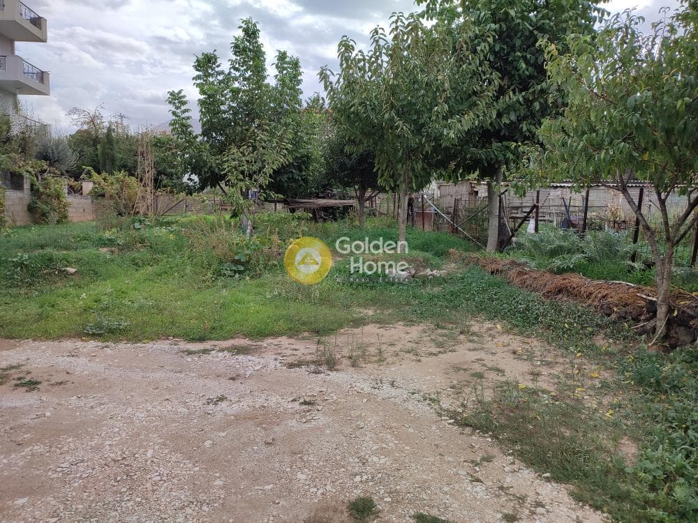 Building Plot in Rodopoli, Rodopoli — Photo 4 of 4