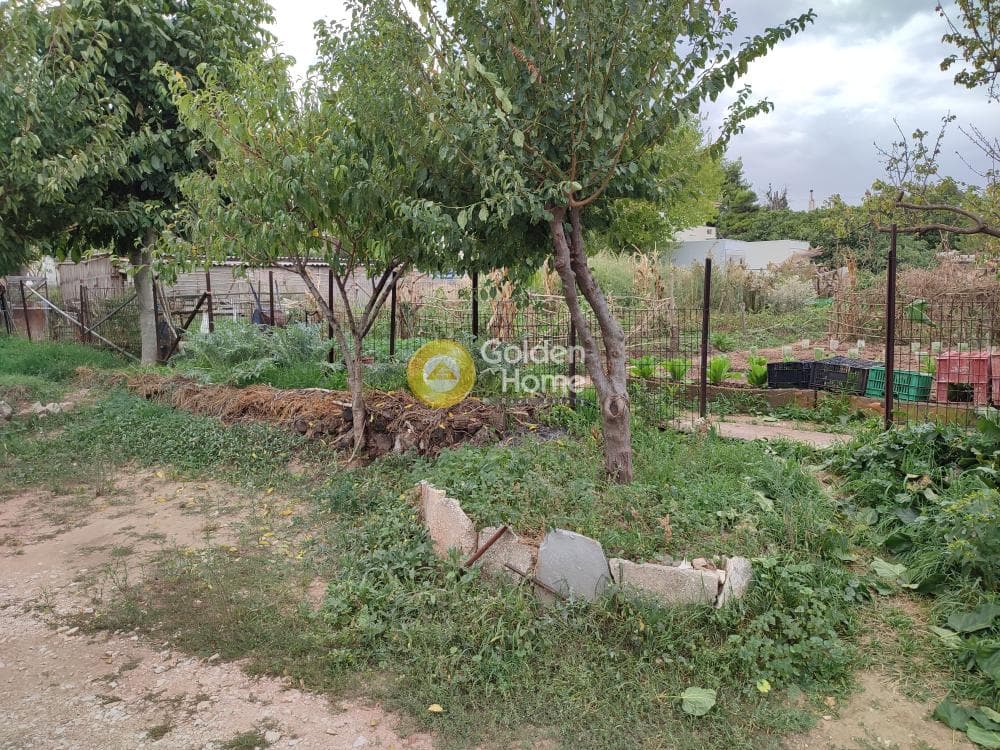 Building Plot in Rodopoli, Rodopoli — Photo 3 of 4