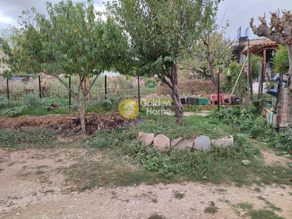 Building Plot in Rodopoli, Rodopoli — Photo 2 of 4