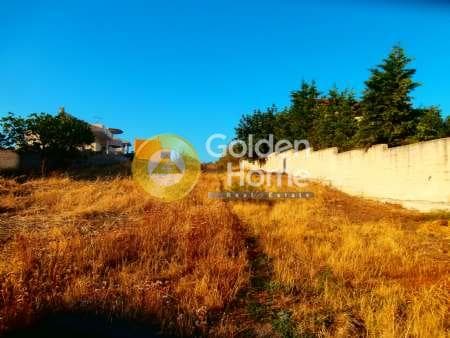 Οικόπεδο στην Καμάριζα, Λαύριο — Φωτογραφία 2 από 5