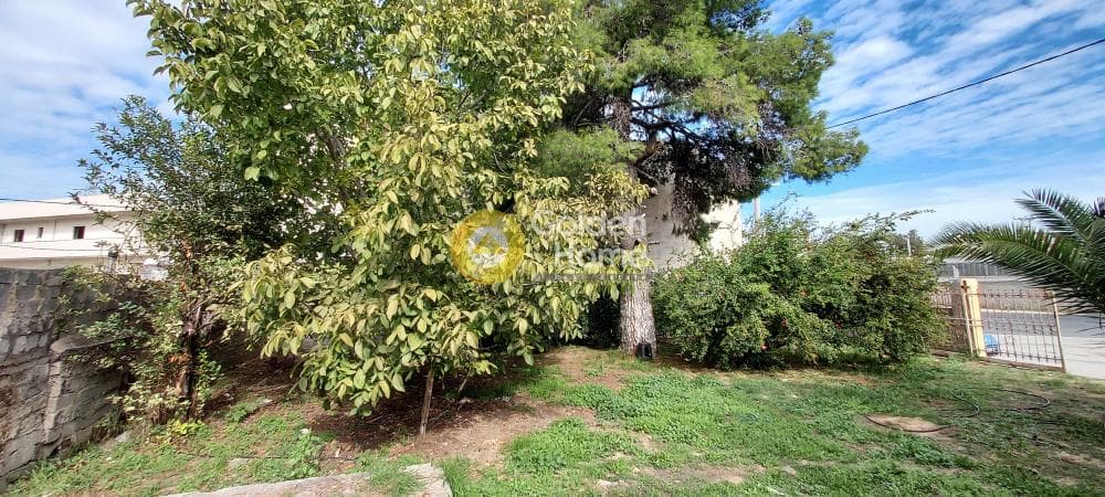 Building Plot in Pirgouthi, Acharnes — Photo 5 of 10