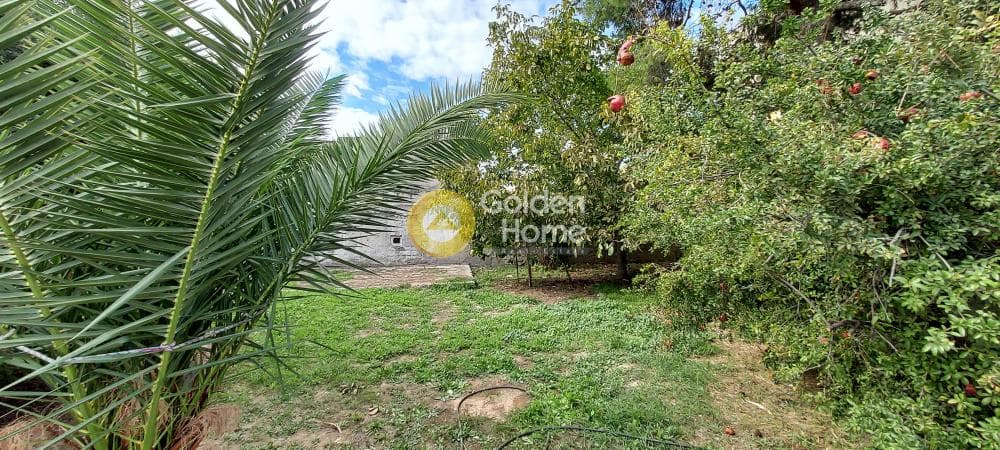 Building Plot in Pirgouthi, Acharnes — Photo 6 of 10