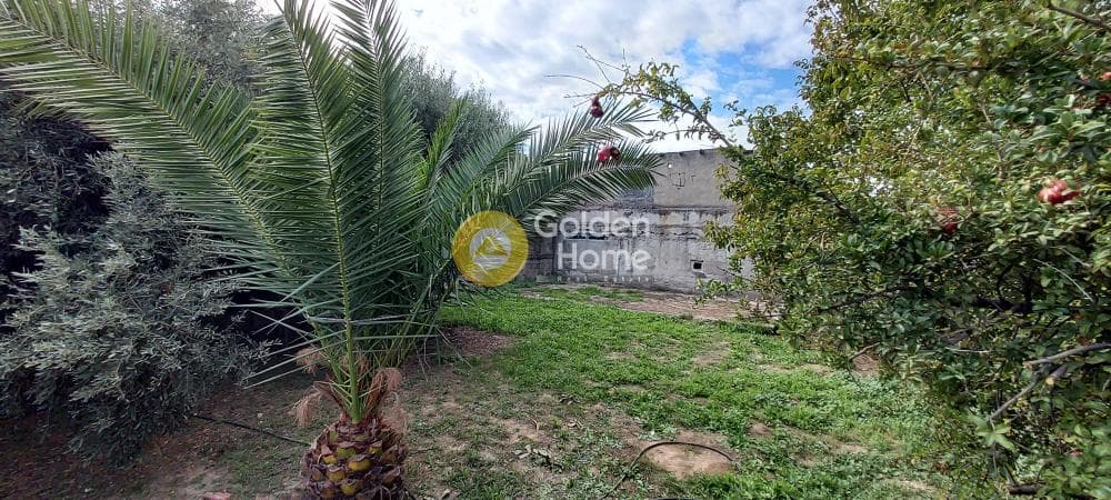 Building Plot in Pirgouthi, Acharnes — Photo 8 of 10
