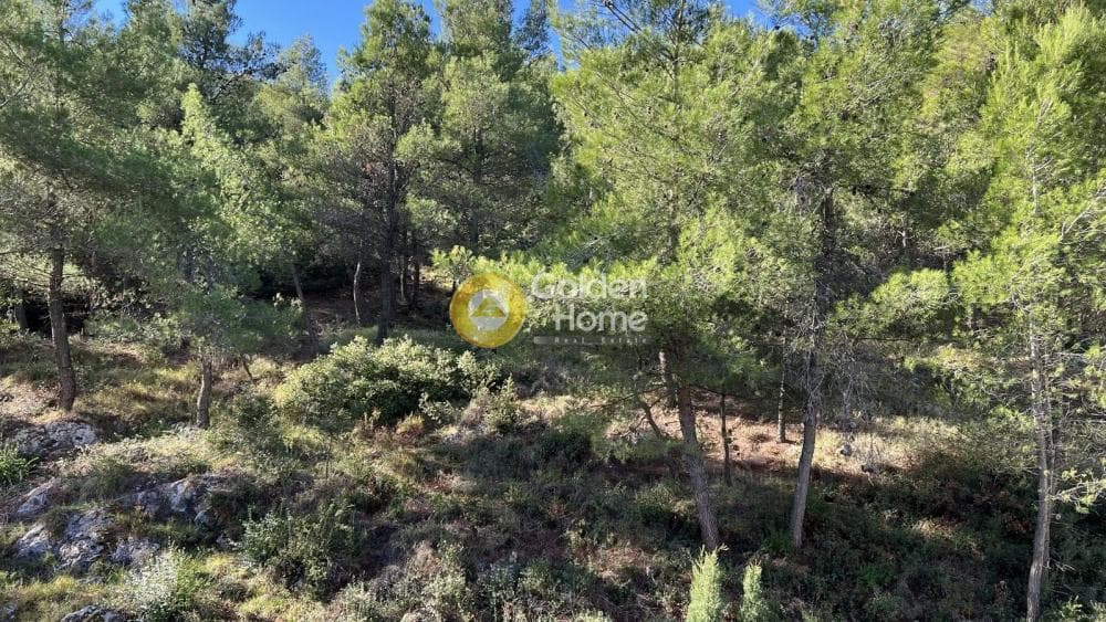 Διαμέρισμα στην Δροσιά, Δροσιά — Φωτογραφία 22 από 24