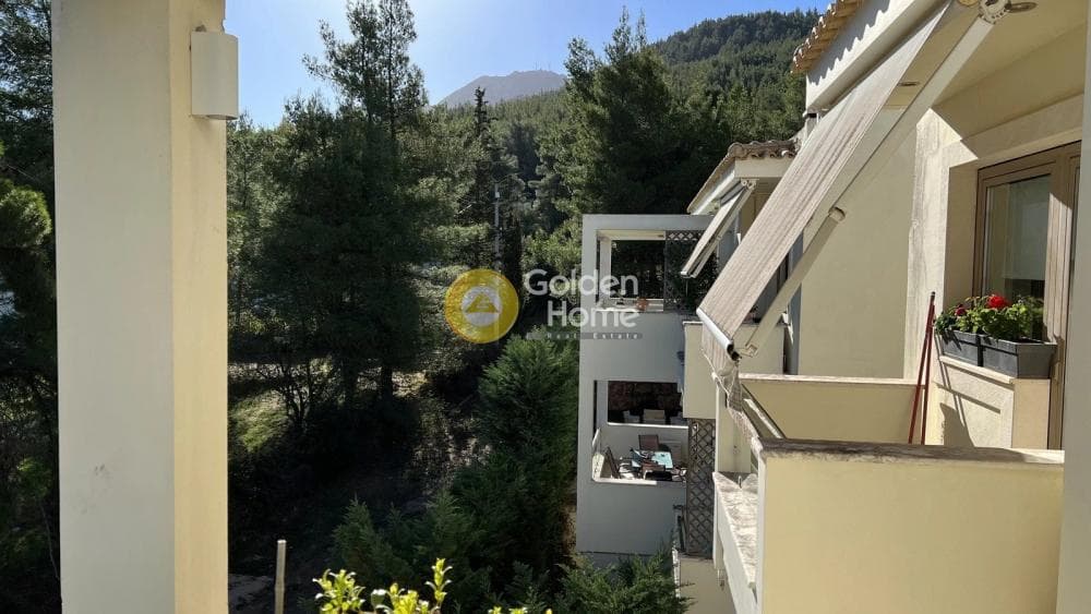 Διαμέρισμα στην Δροσιά, Δροσιά — Φωτογραφία 23 από 24