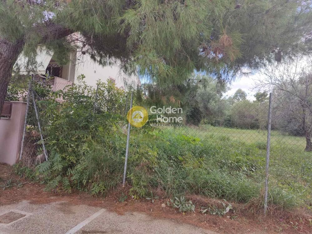 Building Plot in Neapoli, Spata — Photo 2 of 5