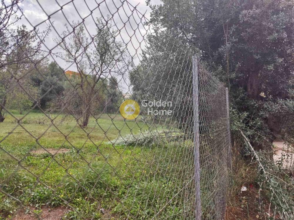 Building Plot in Neapoli, Spata — Photo 3 of 5