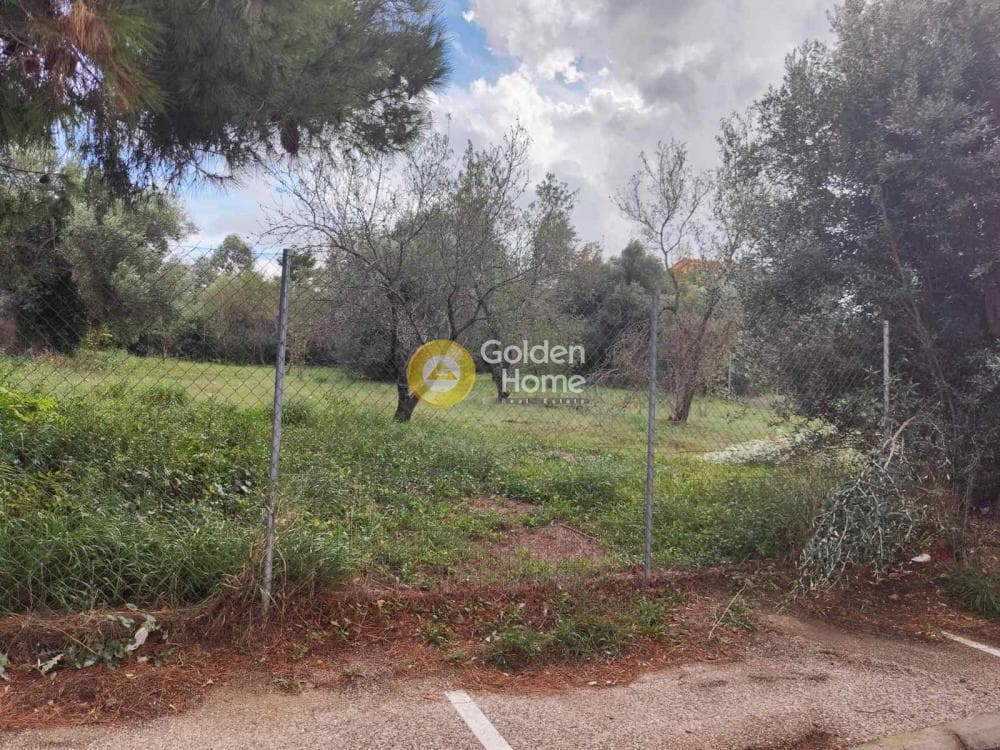 Building Plot in Neapoli, Spata — Photo 4 of 5