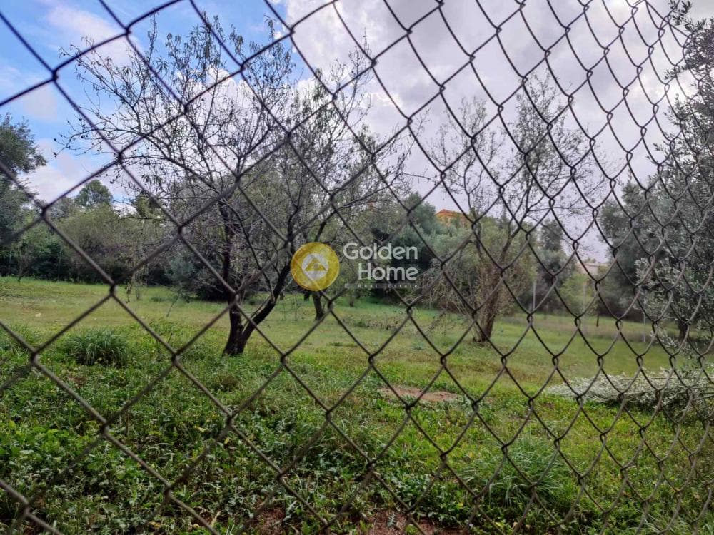 Building Plot in Neapoli, Spata — Photo 5 of 5