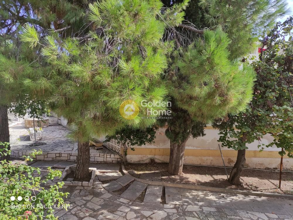 Building Plot in Center, Markopoulo — Photo 1 of 6