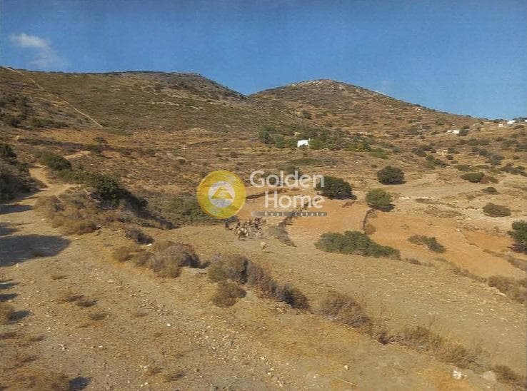 Parcel in Moni Agion Theodoron, Paros — Photo 4 of 4