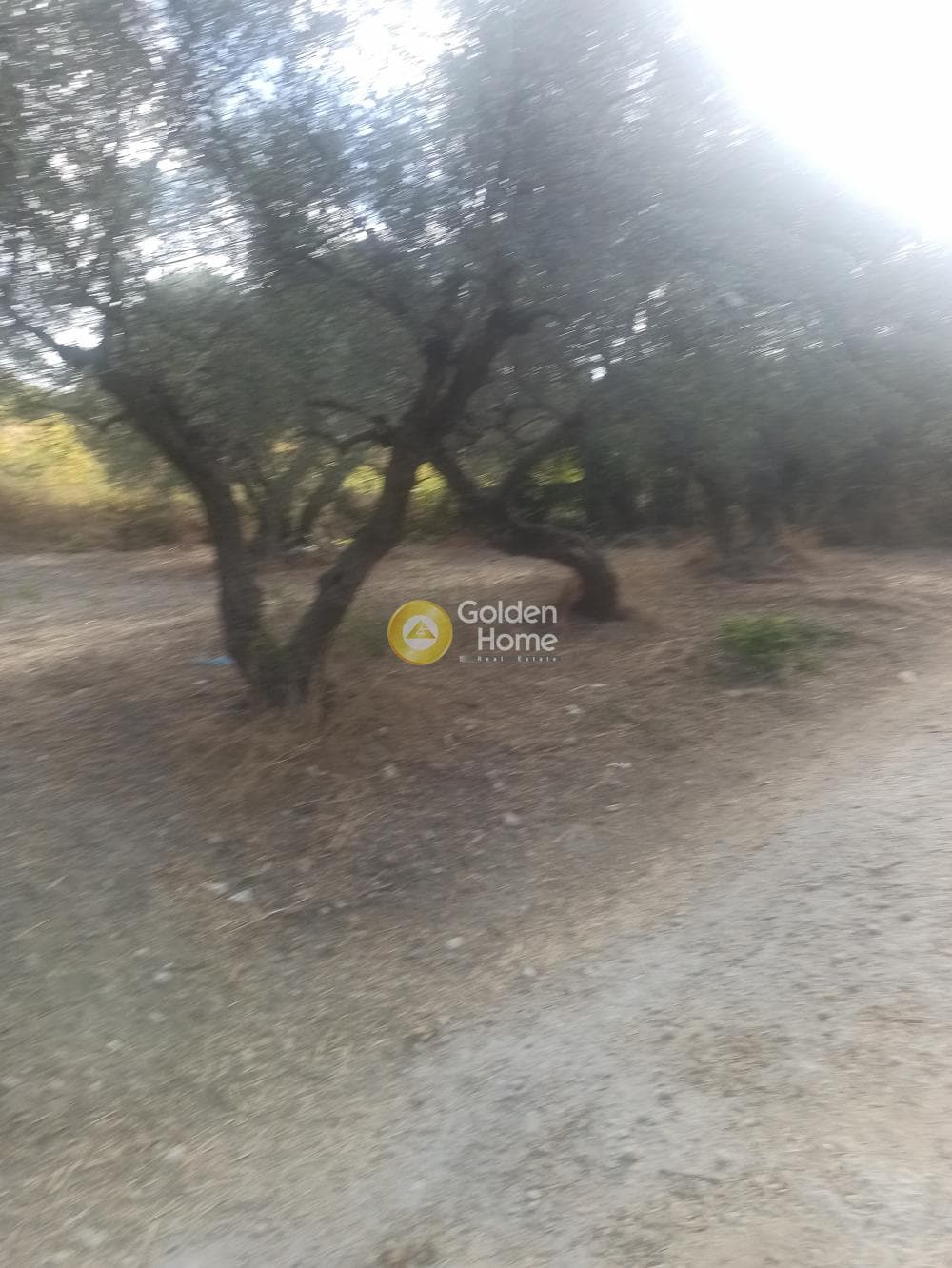 Οικόπεδο στην Χουδέτσι, Αρχάνες — Φωτογραφία 1 από 5