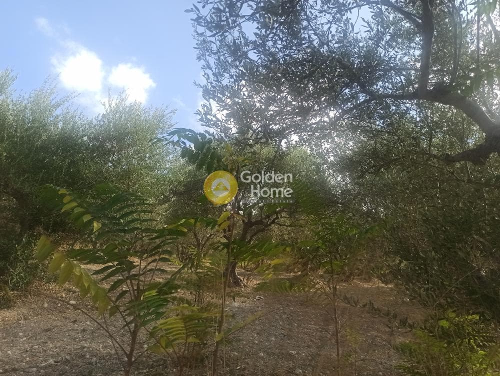 Οικόπεδο στην Χουδέτσι, Αρχάνες — Φωτογραφία 2 από 5