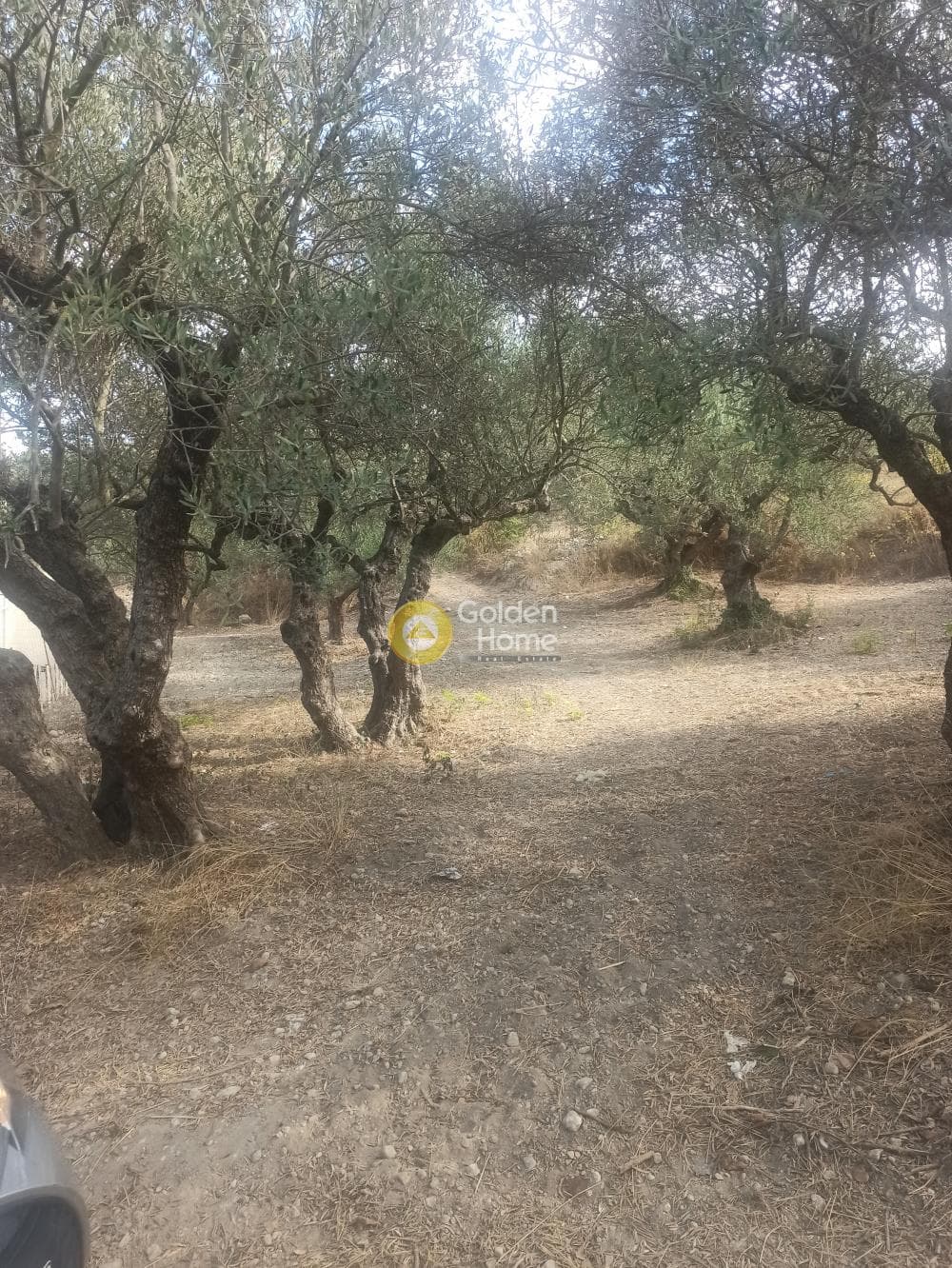 Οικόπεδο στην Χουδέτσι, Αρχάνες — Φωτογραφία 5 από 5