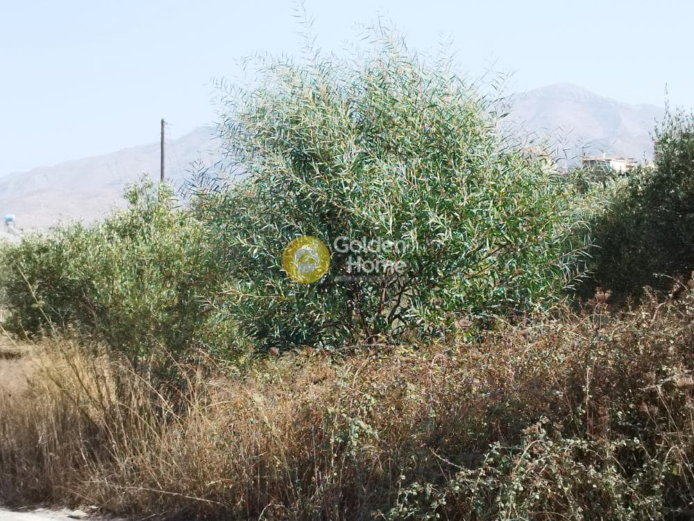 Building Plot in Archontiko, Arkalochori — Photo 2 of 2