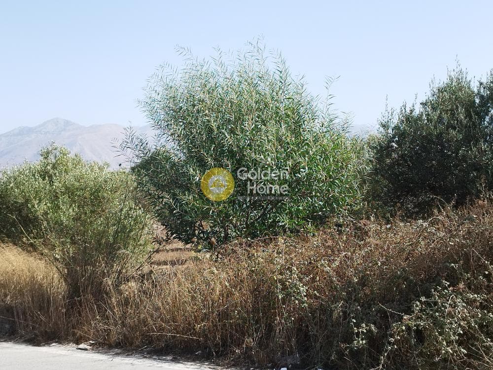 Building Plot in Archontiko, Arkalochori — Photo 1 of 2