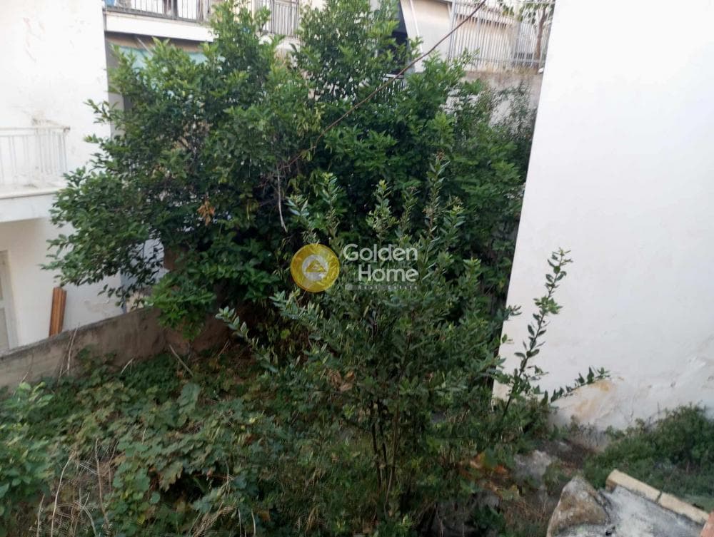 Μονοκατοικία στην Άνω Κυψέλη, Κυψέλη — Φωτογραφία 14 από 18