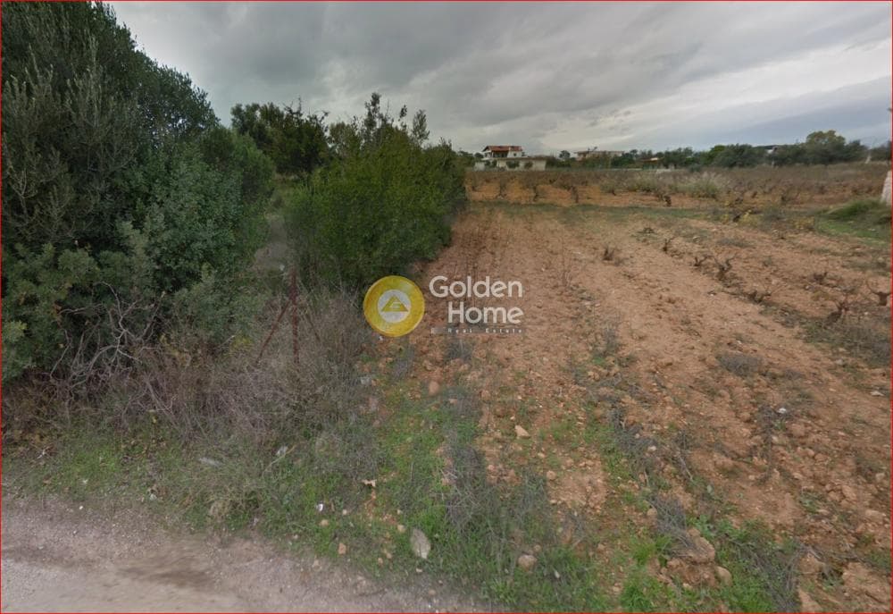 Parcel in Neapoli, Spata — Photo 2 of 3