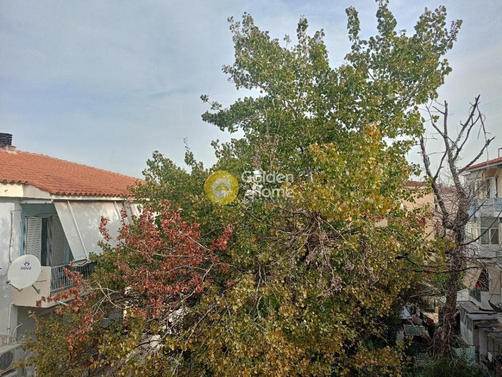 Διαμέρισμα στην Βλάχου, Νέα Ιωνία — Φωτογραφία 15 από 24